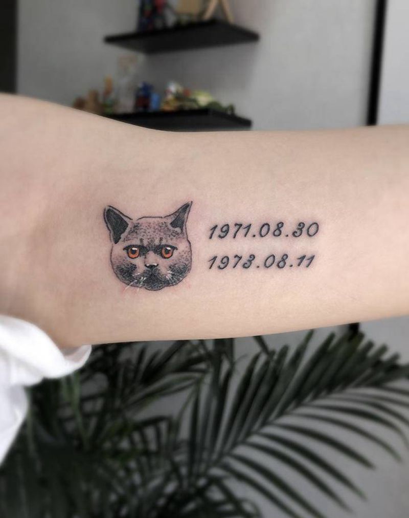 喵纹身图片_手臂New School点刺纹身图案