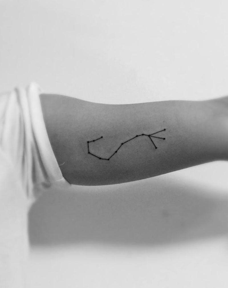 猜猜这是啥纹身图片_成品手臂清新几何静物图腾纹身图案