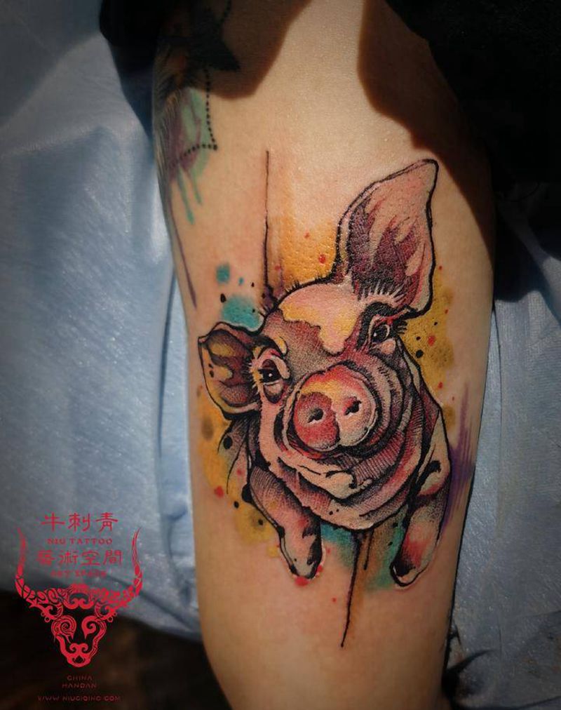 猪纹身图片_手臂水彩纹身图案