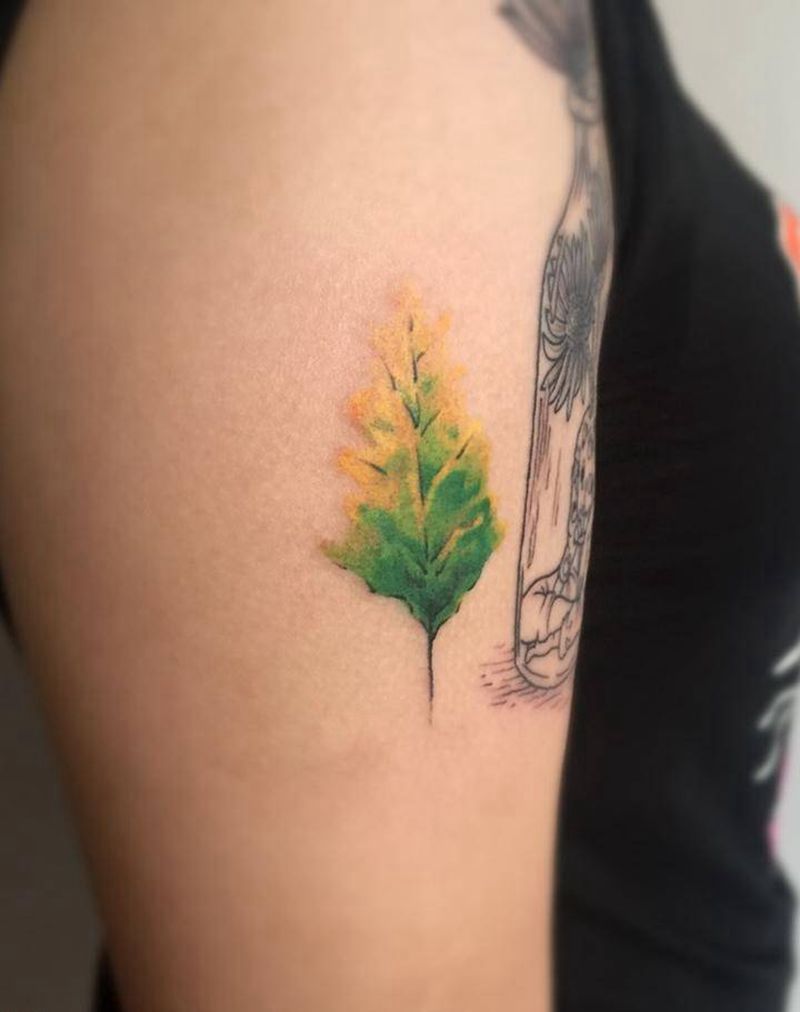 原谅树纹身图片_成品手臂欧美清新植物纹身图案