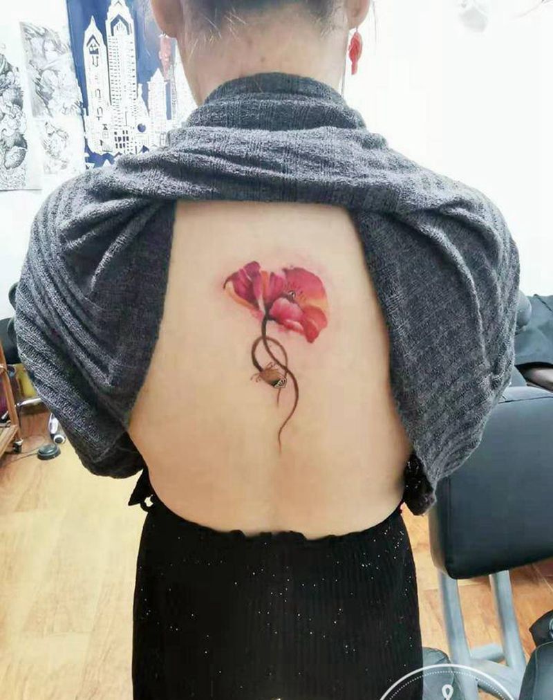 罂粟花纹身图片_背部老传统新传统纹身图案