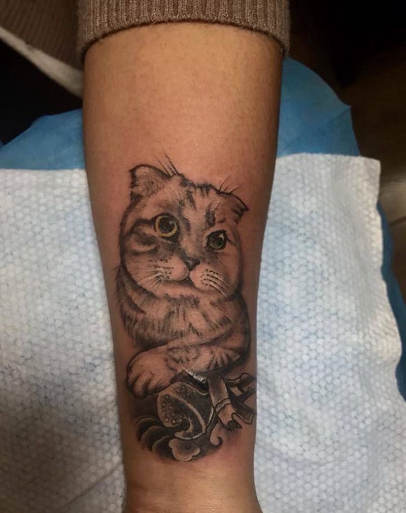 折耳猫纹身图片