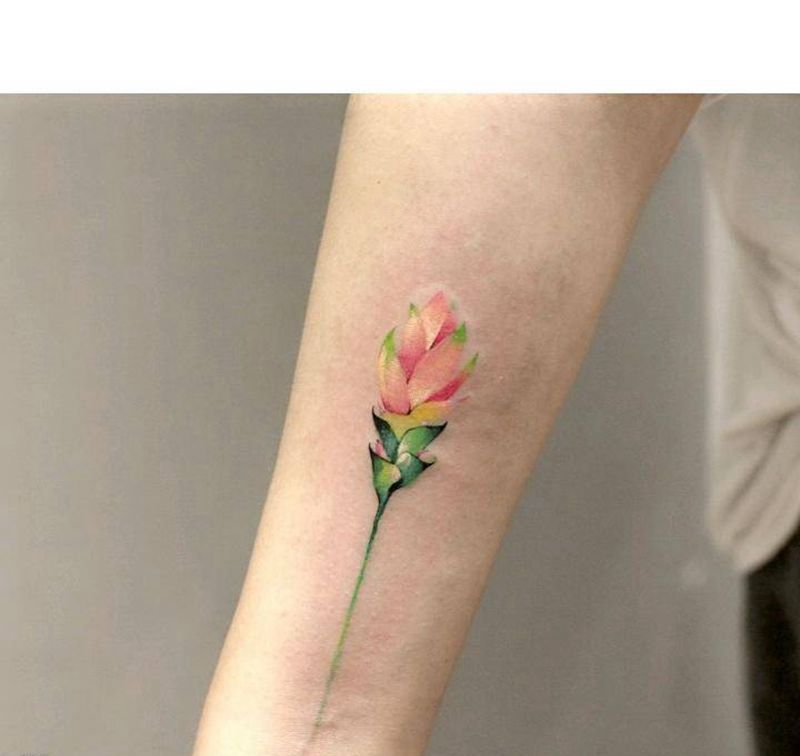 含苞待放纹身图片_手臂水墨水彩纹身图案