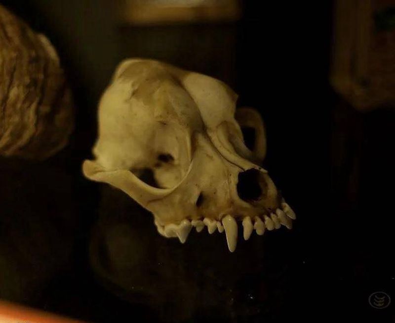 店内一角纹身图片