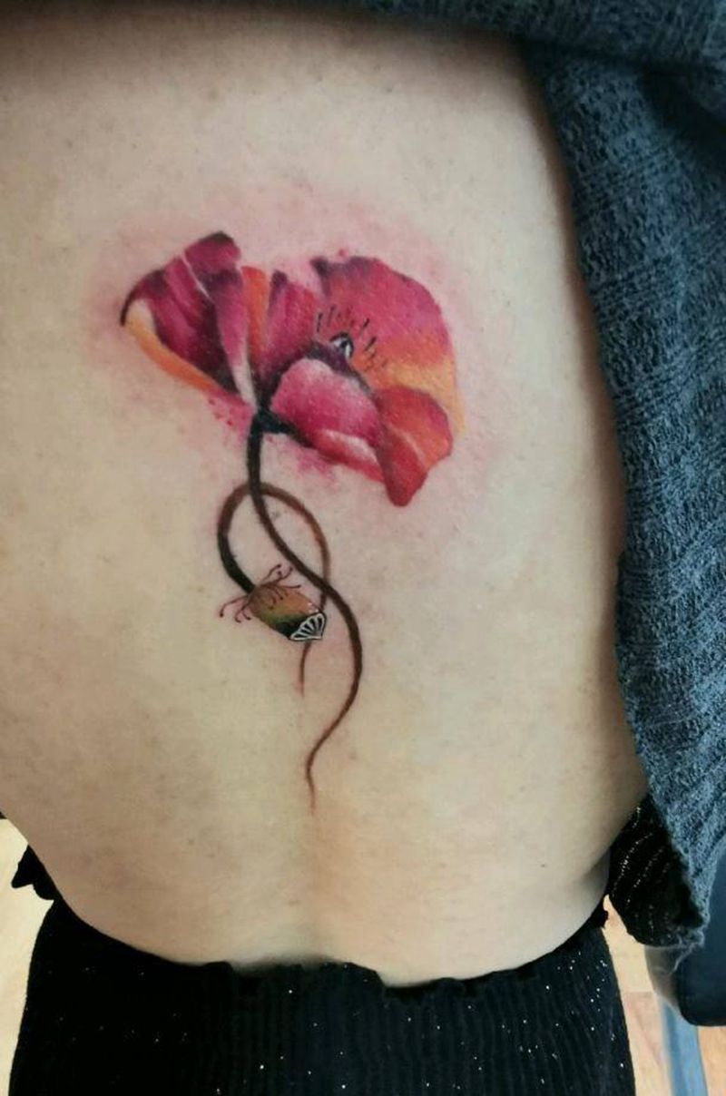 罂粟花纹身图片_背部手臂水墨罂粟花纹身图案