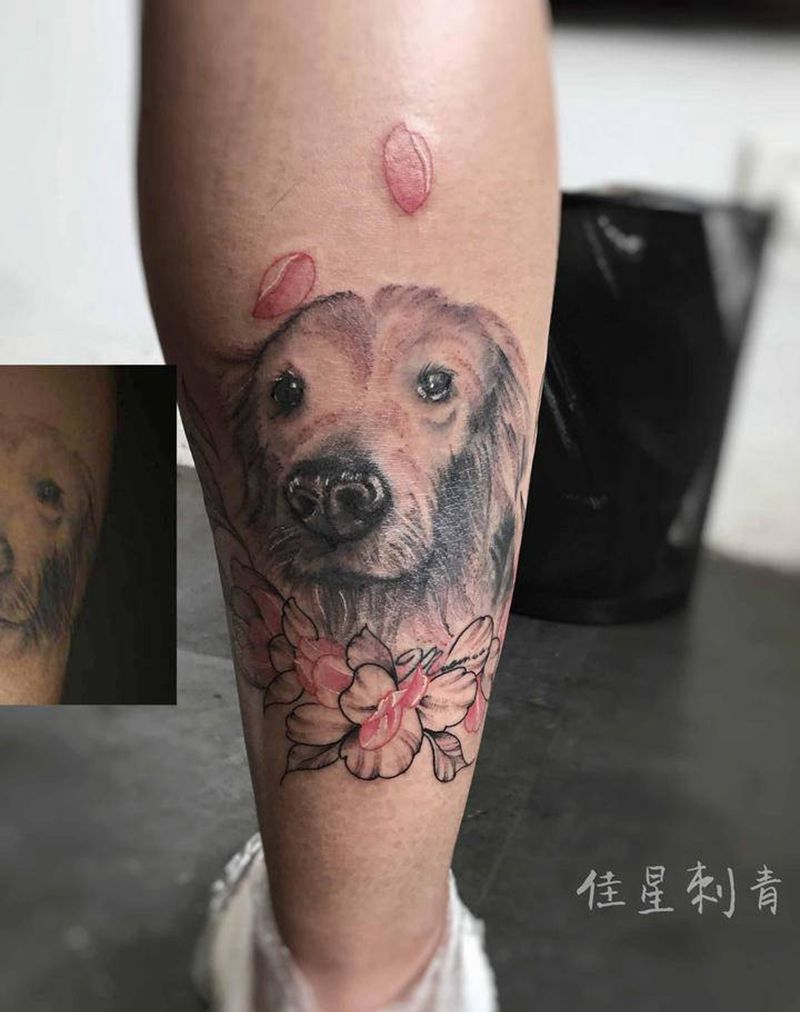 金毛修改下，加点