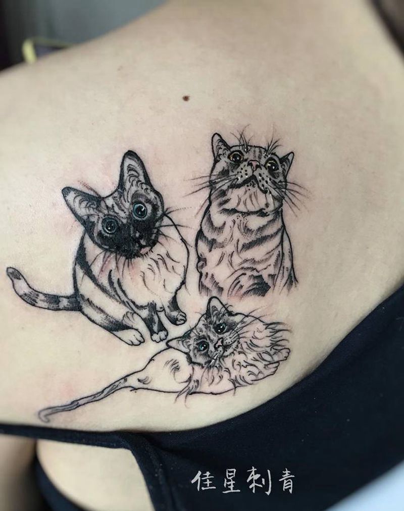 顾客家的三只小猫咪纹身图片_肩部猫纹身图案