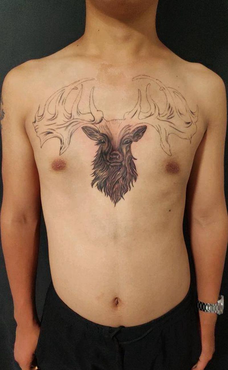 未完.鹿纹身图片_胸部欧美写实鹿黑灰素描纹身图案