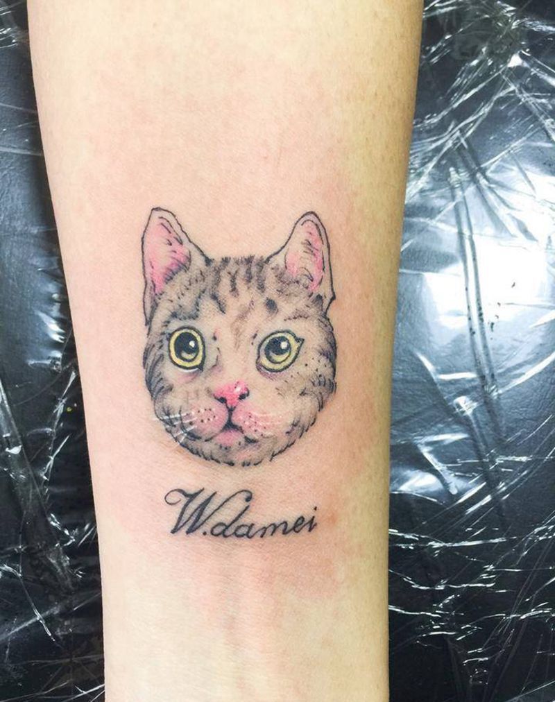喵纹身图片