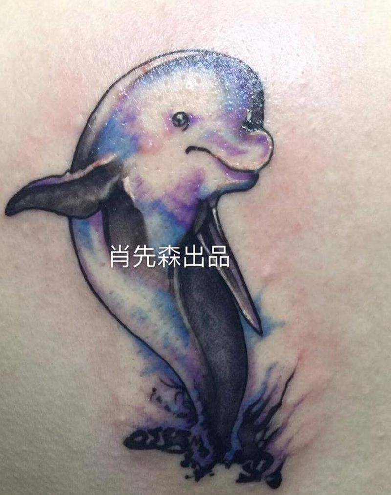海豚纹身图片