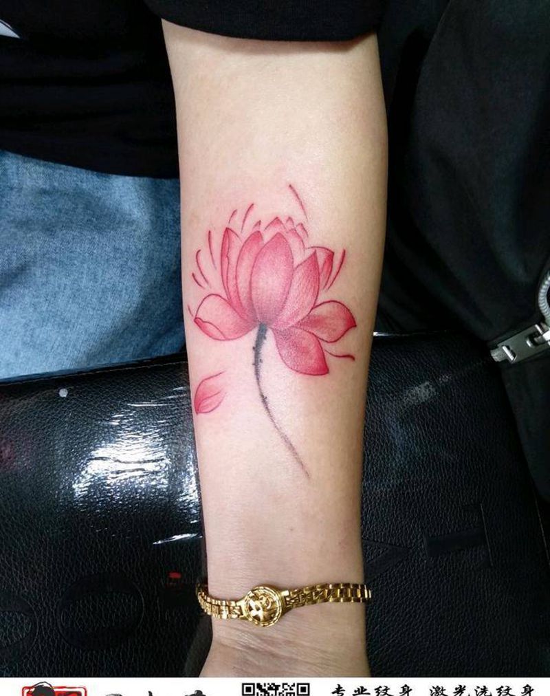 小清新荷花纹身图片_手臂新传统纹身图案