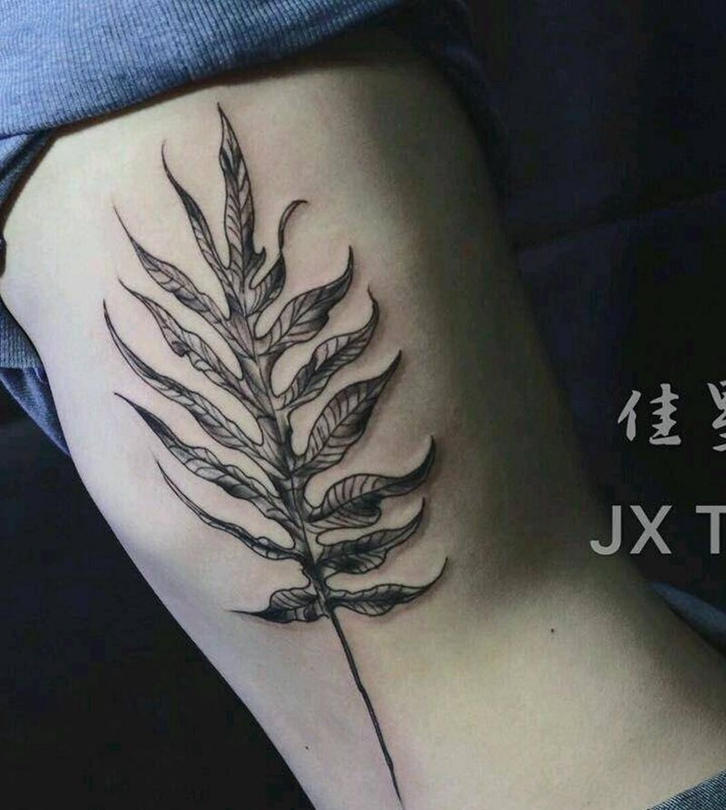 叶子纹身图片