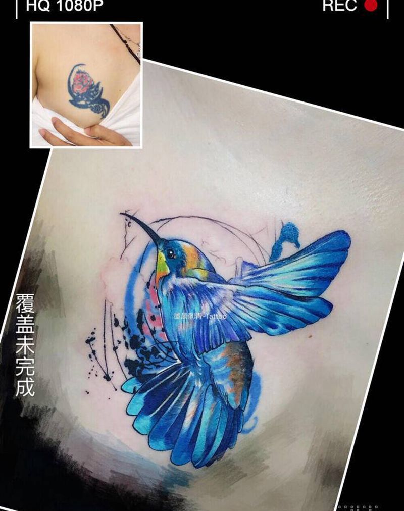 蜂鸟纹身图片_胸部纹身图案