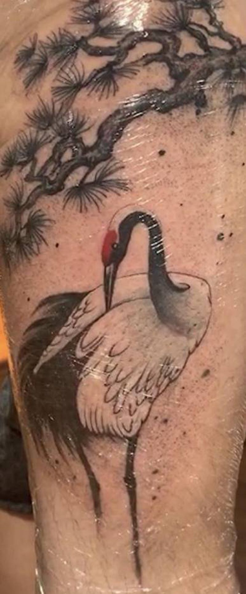 中国风 仙鹤纹身图片_腿部水墨纹身图案