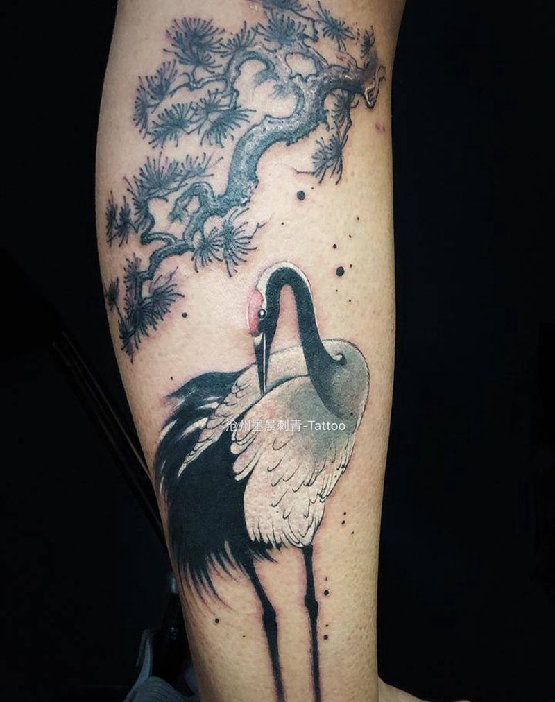 鹤纹身图片