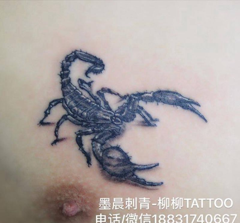 蝎子纹身图片