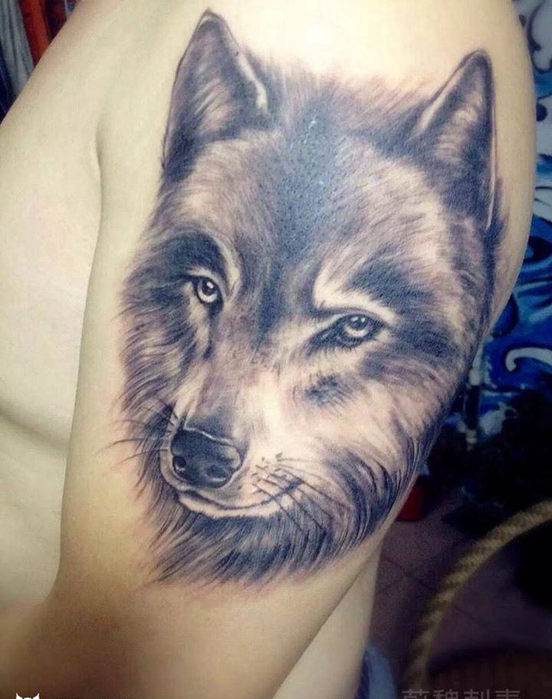 狼纹身图片_肩部动物纹身图案