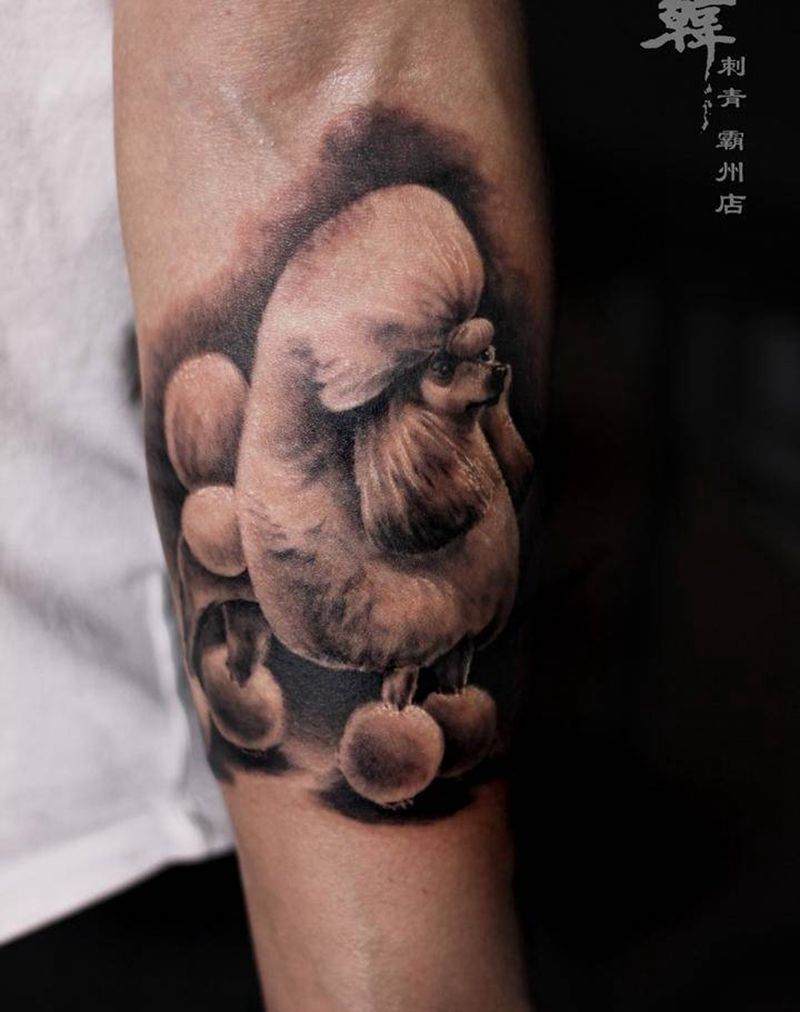 贵宾犬纹身图片_手臂欧美写实动物成品纹身图案