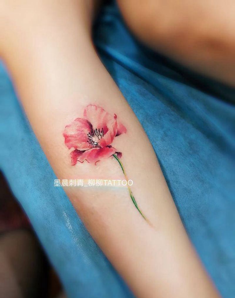 盛开的罂粟纹身图片