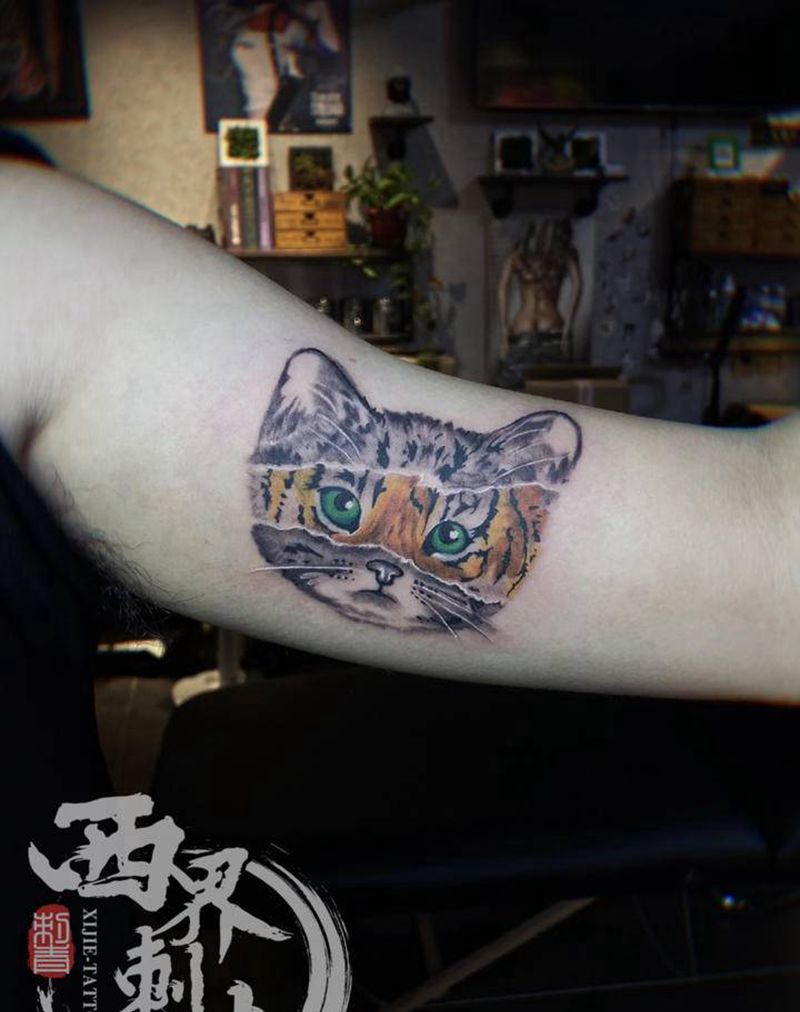 猫 老虎纹身纹身图片_手臂新传统老传统纹身图案