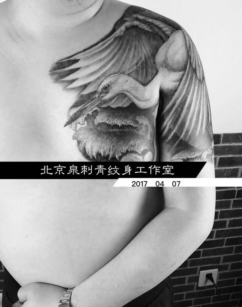 鹭鸶纹身图片_成品胸部手臂写实动物情侣纹身图案