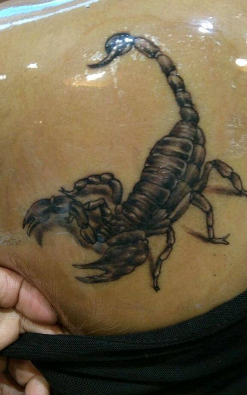 蝎子纹身纹身图片