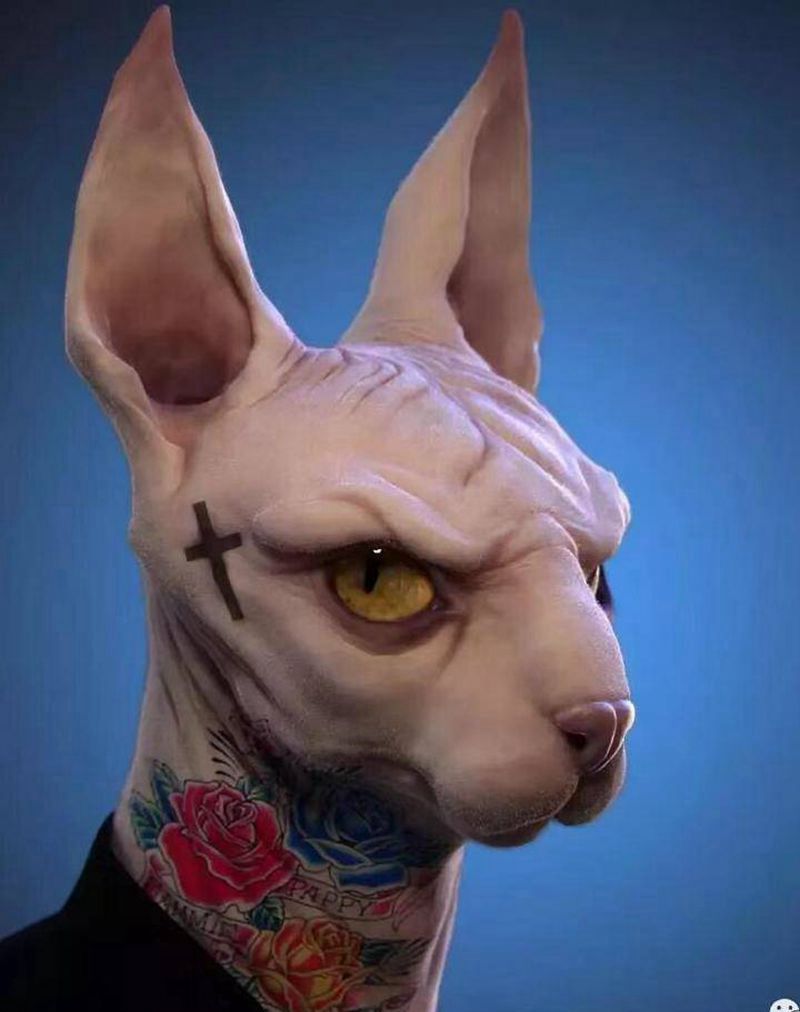 猫纹身纹身图片