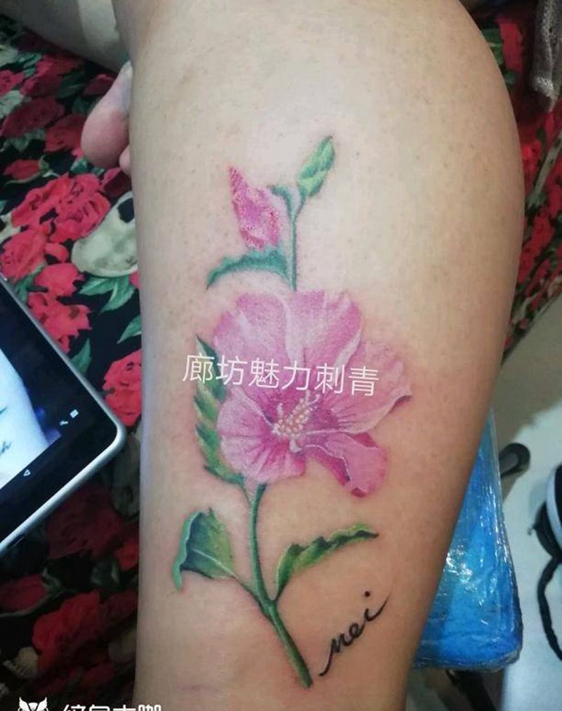 木槿花纹身图片