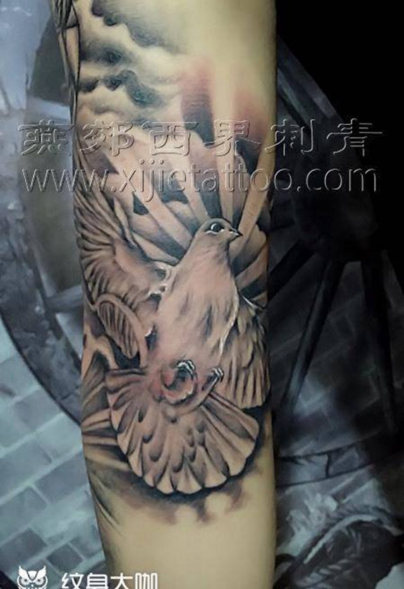 鸽子纹身图片