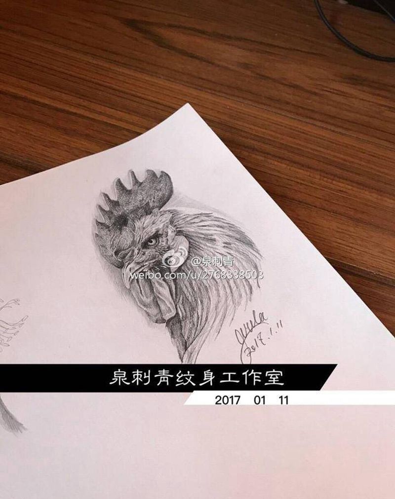 纹身手稿之鸡纹身图片_手稿插画胸部背部腿部手臂写实肖像动物纹身图案