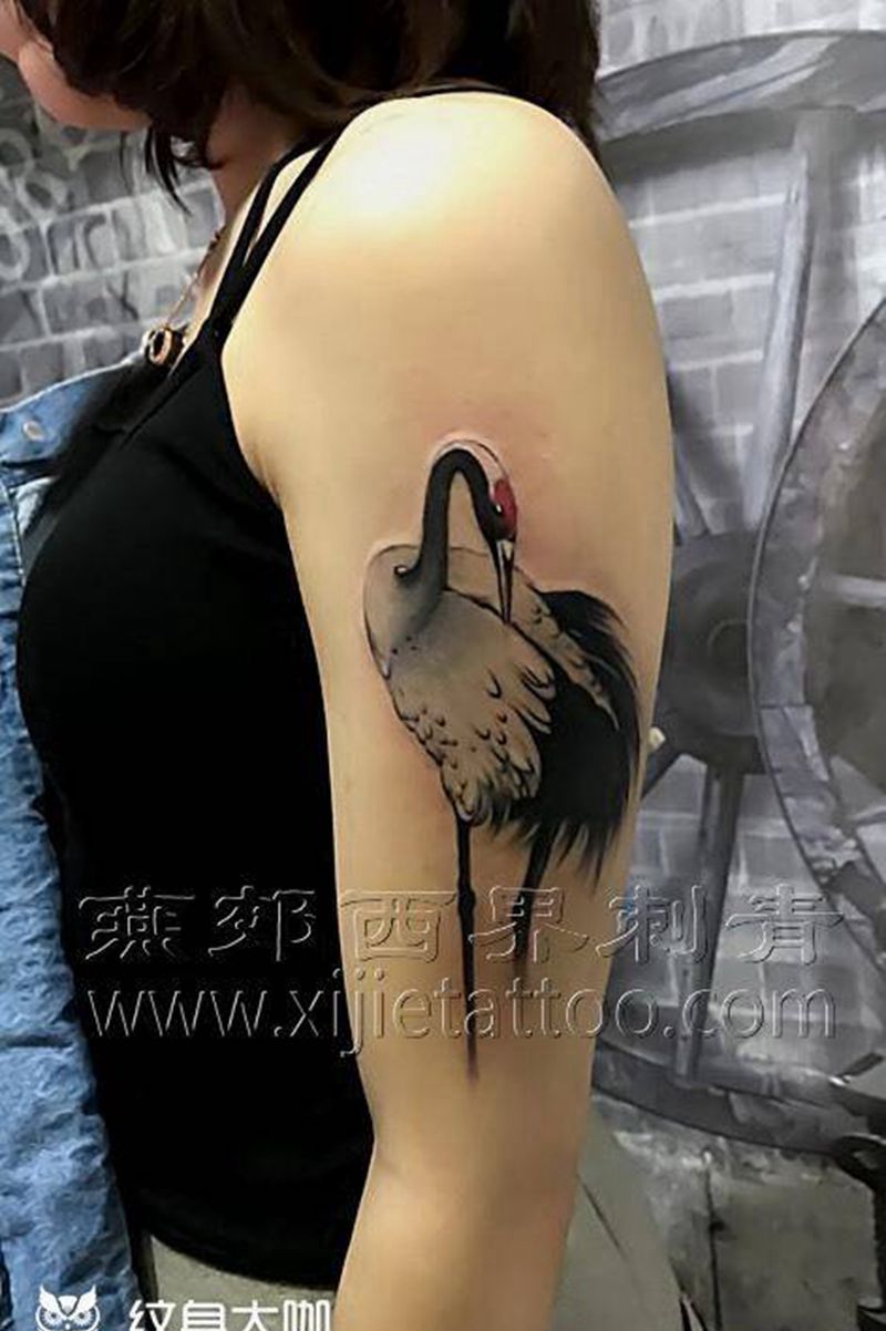 鹤纹身纹身图片