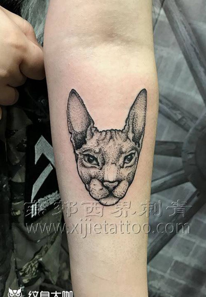猫纹身纹身图片