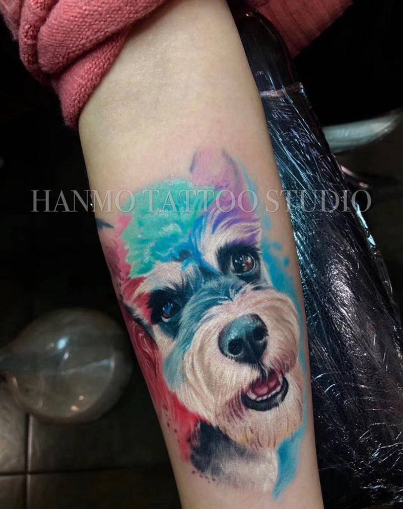 可爱雪纳瑞炫彩写实