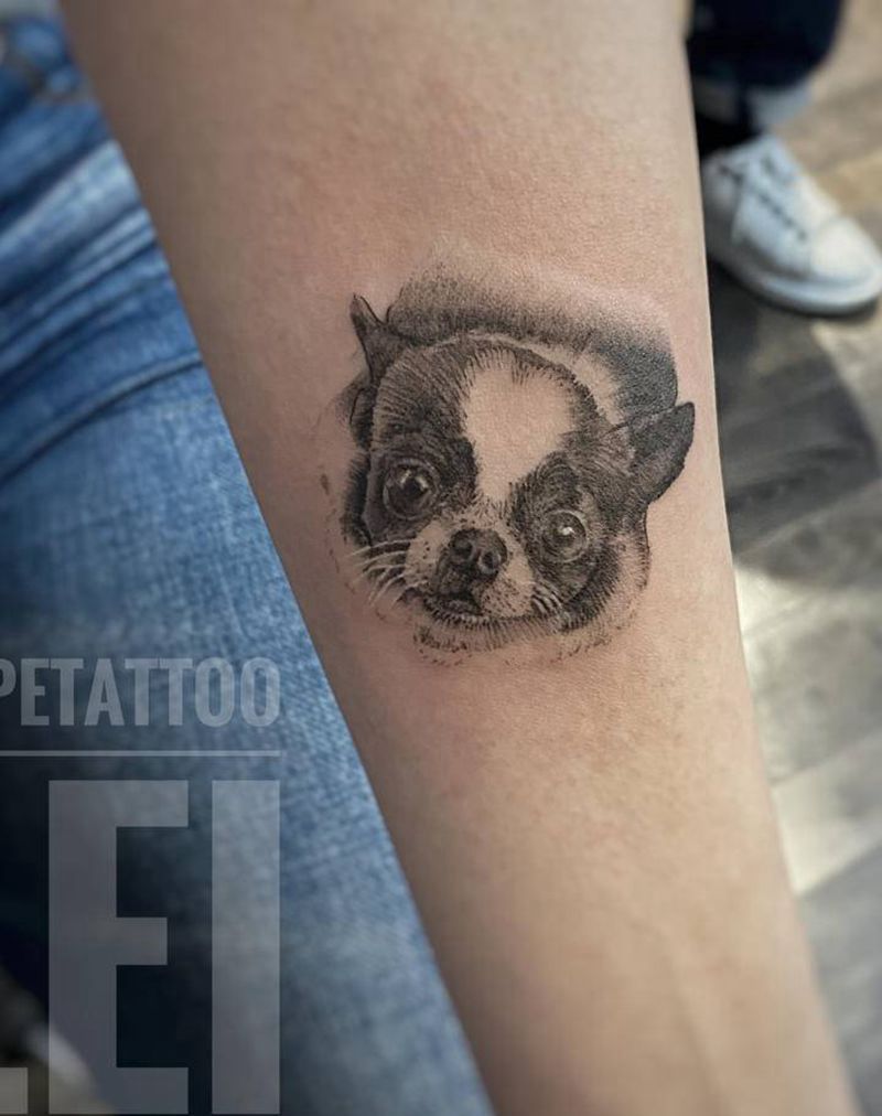 迷你吉娃娃纹身图片_手臂欧美写实纹身图案