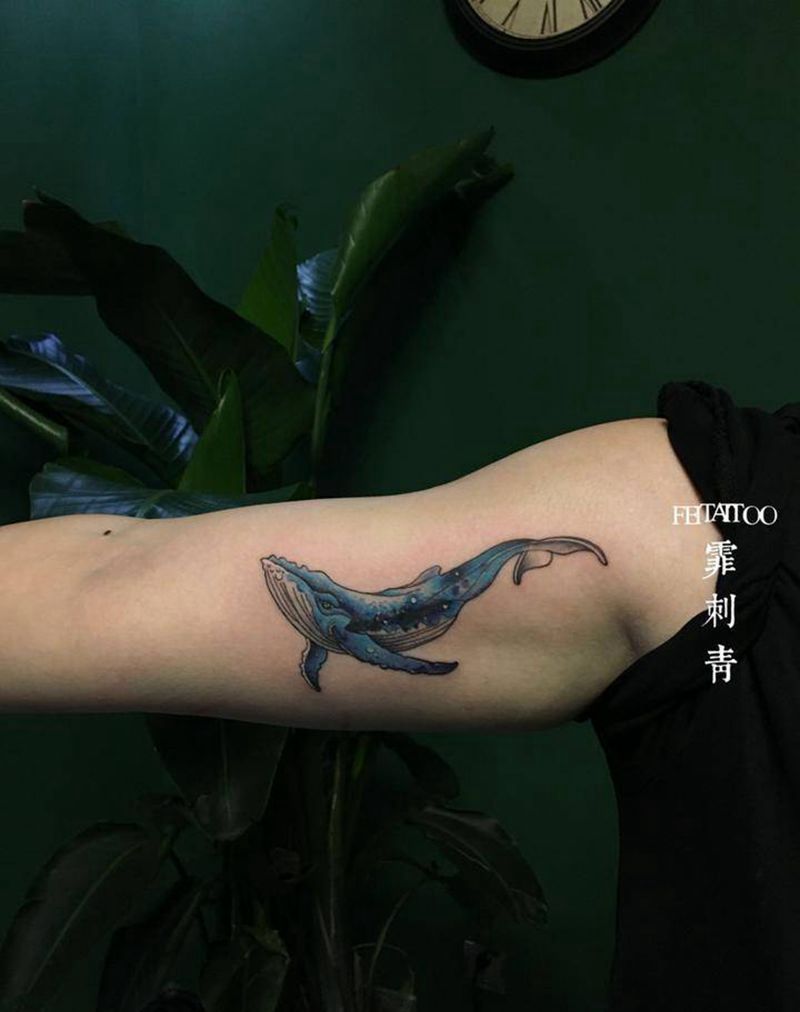 鲸鱼纹身图片