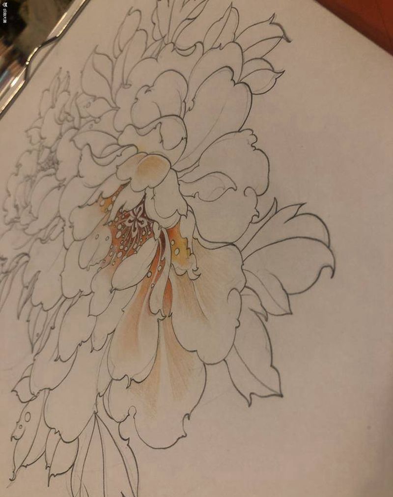 牡丹花纹身图片_胸部腿部新传统纹身图案