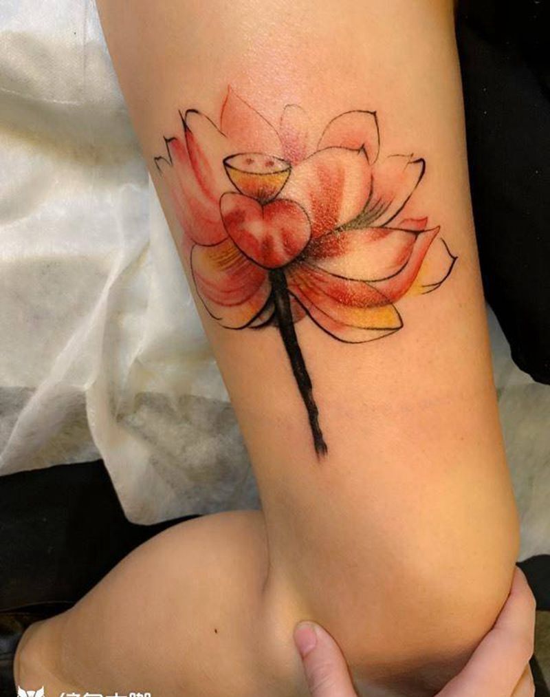 莲纹身图片