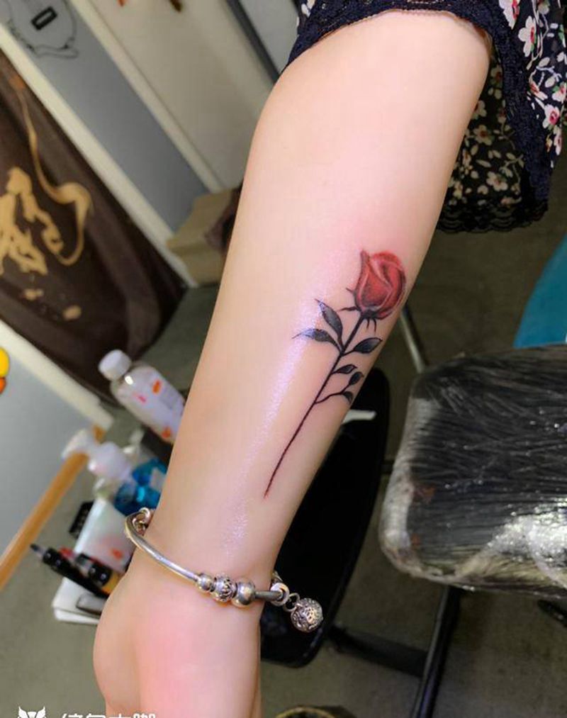 玫瑰纹身图片_手臂纹身图案
