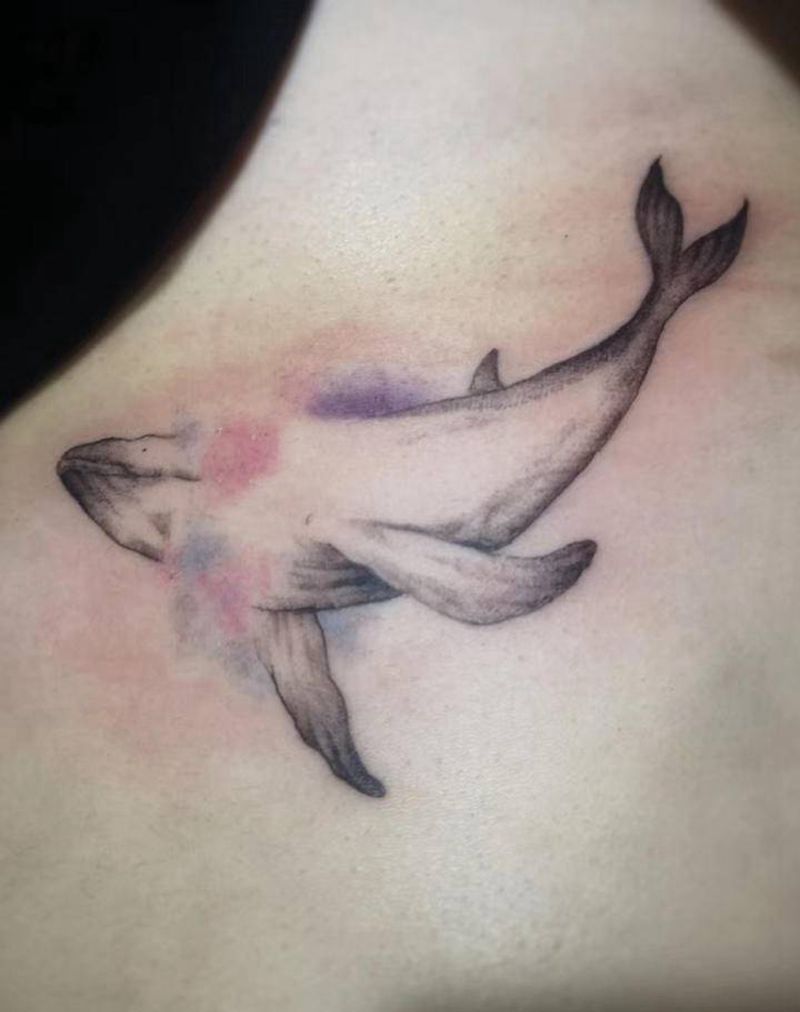 鲸鱼纹身图片_腹部水墨纹身图案