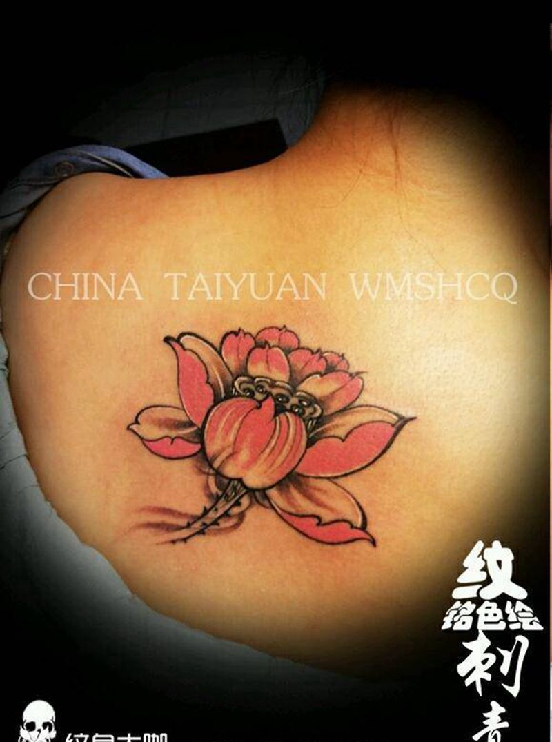 荷花一朵！纹身图片