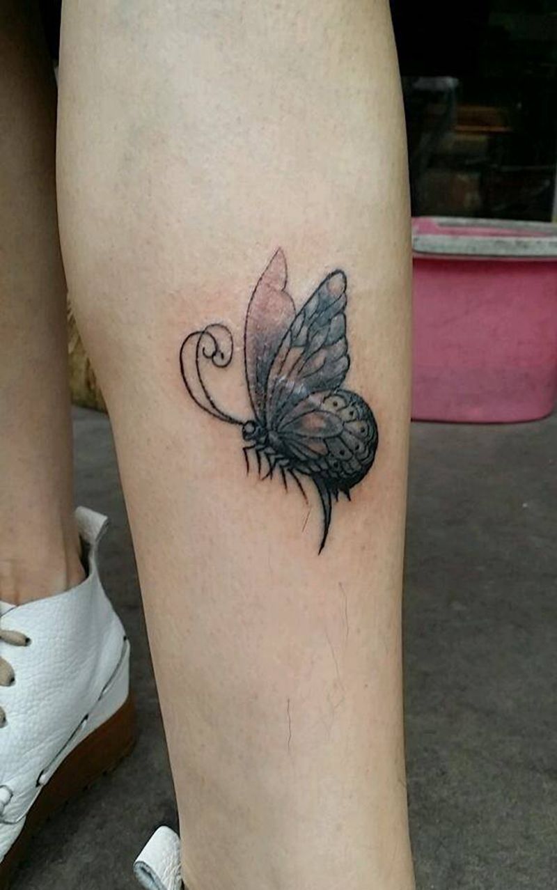 疤痕遮盖蝴蝶纹身图片_传统动物成品纹身图案