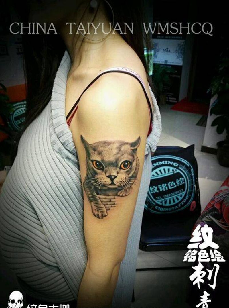 小猫一只纹身图片