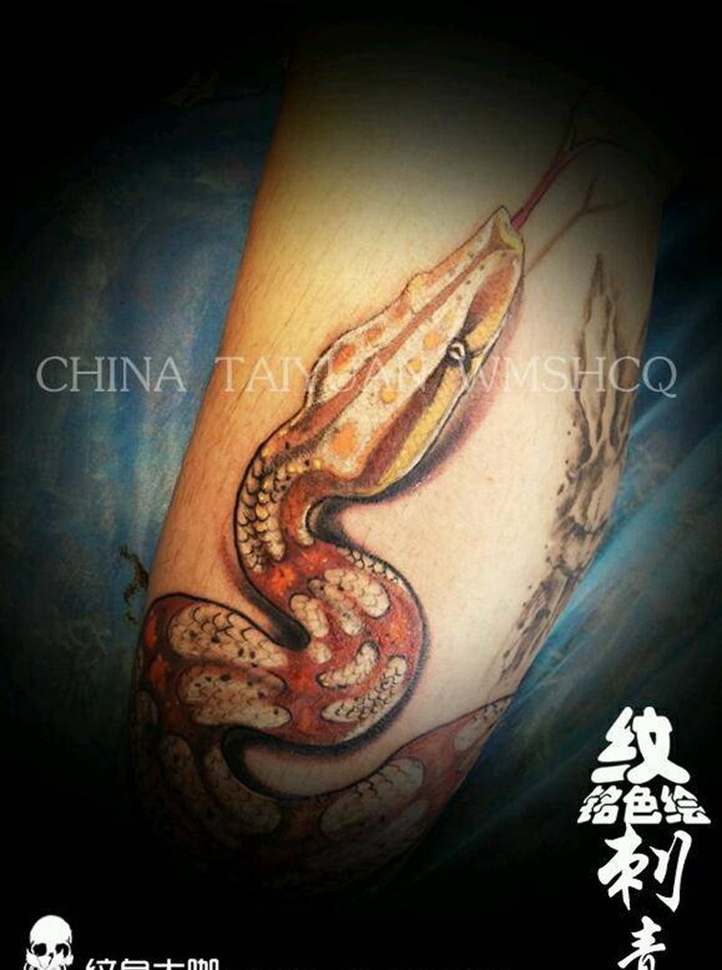 红尾蚺纹身图片