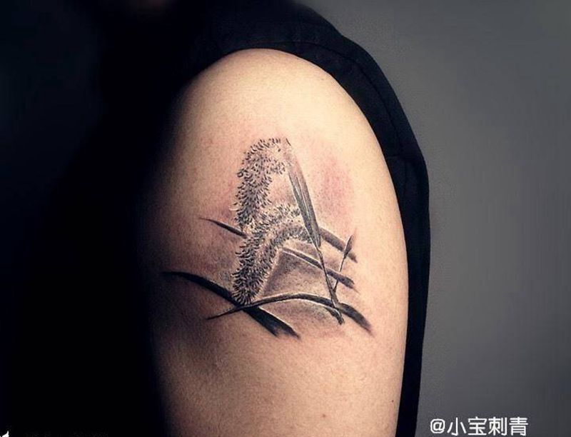 狗尾巴花纹身图片_肩部清新写实植物原创成品纹身图案
