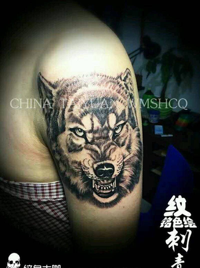 狼头、一枚！纹身图片
