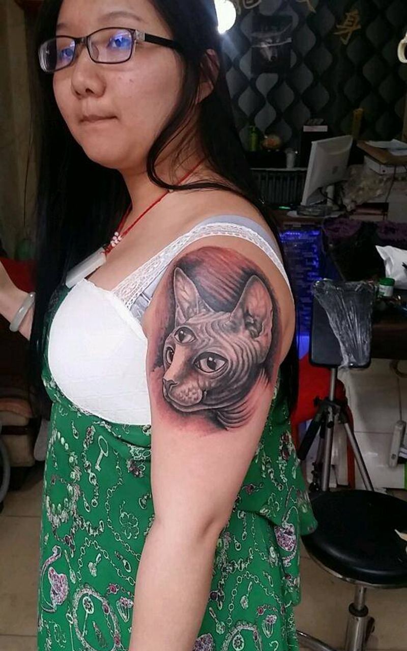 埃及猫纹身图片_肩部手臂欧美肖像写实动物原创成品纹身图案