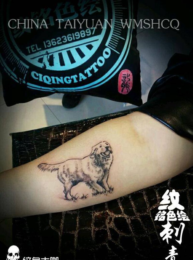 小金毛一只纹身图片