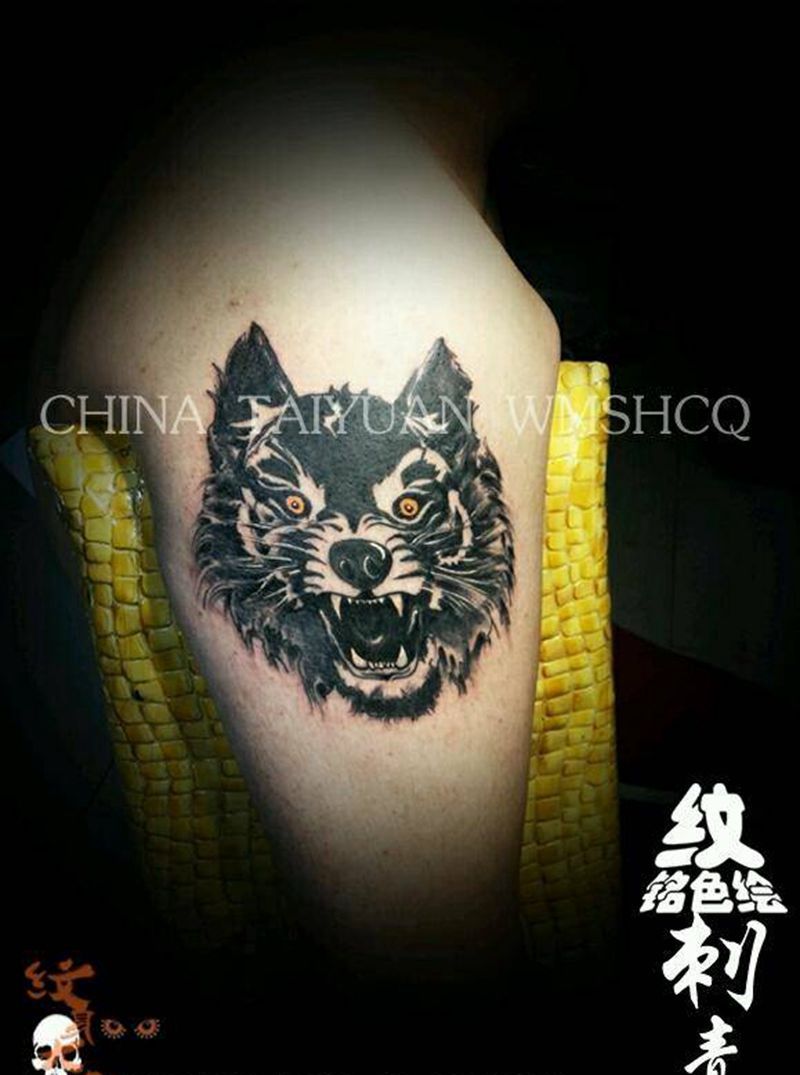 狼一头纹身图片_写实动物图腾纹身图案