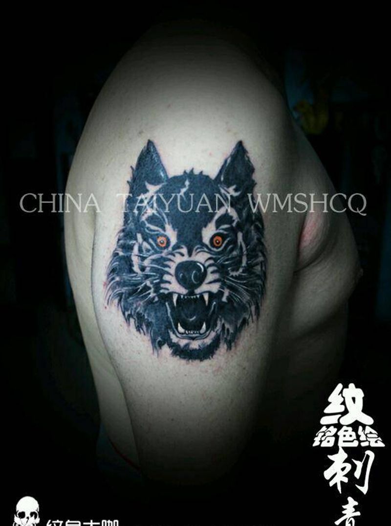 狼纹身图片