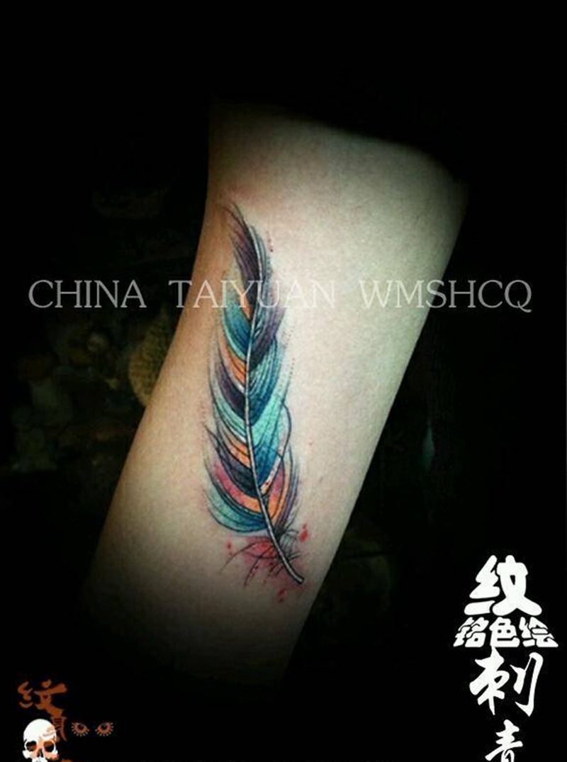 羽毛一个纹身图片_清新纹身图案